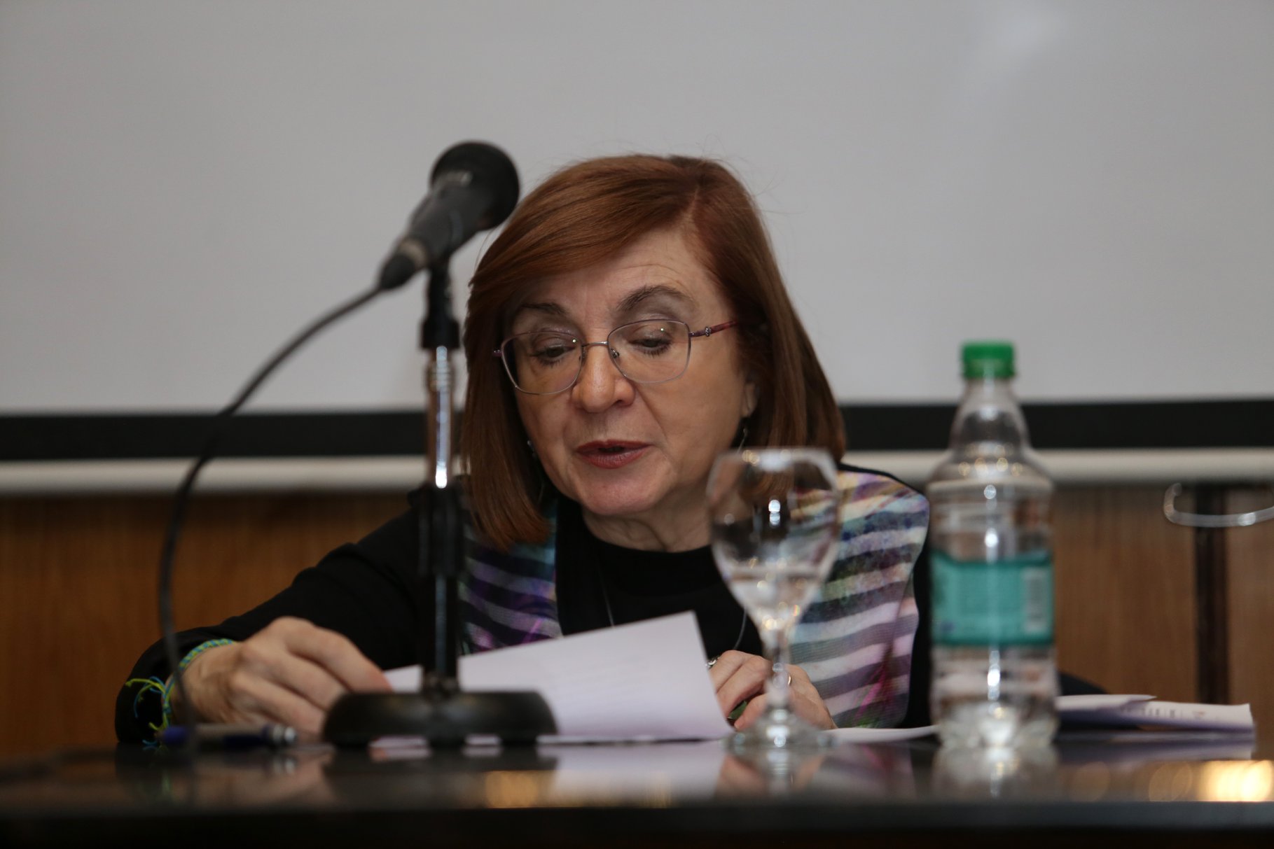 María Rosa Lojo en el Segundo Congreso Mundial “Infancia sin violencia”. ARALMA. Buenos Aires. 21 al 23 de agosto de 2019